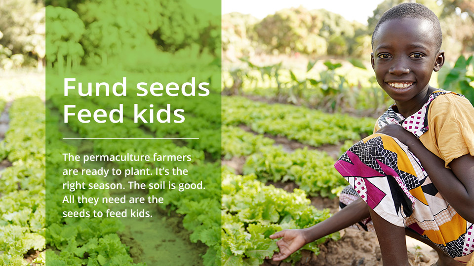 Fund-Seeds-Feed-kids Fund seeds and feed kids